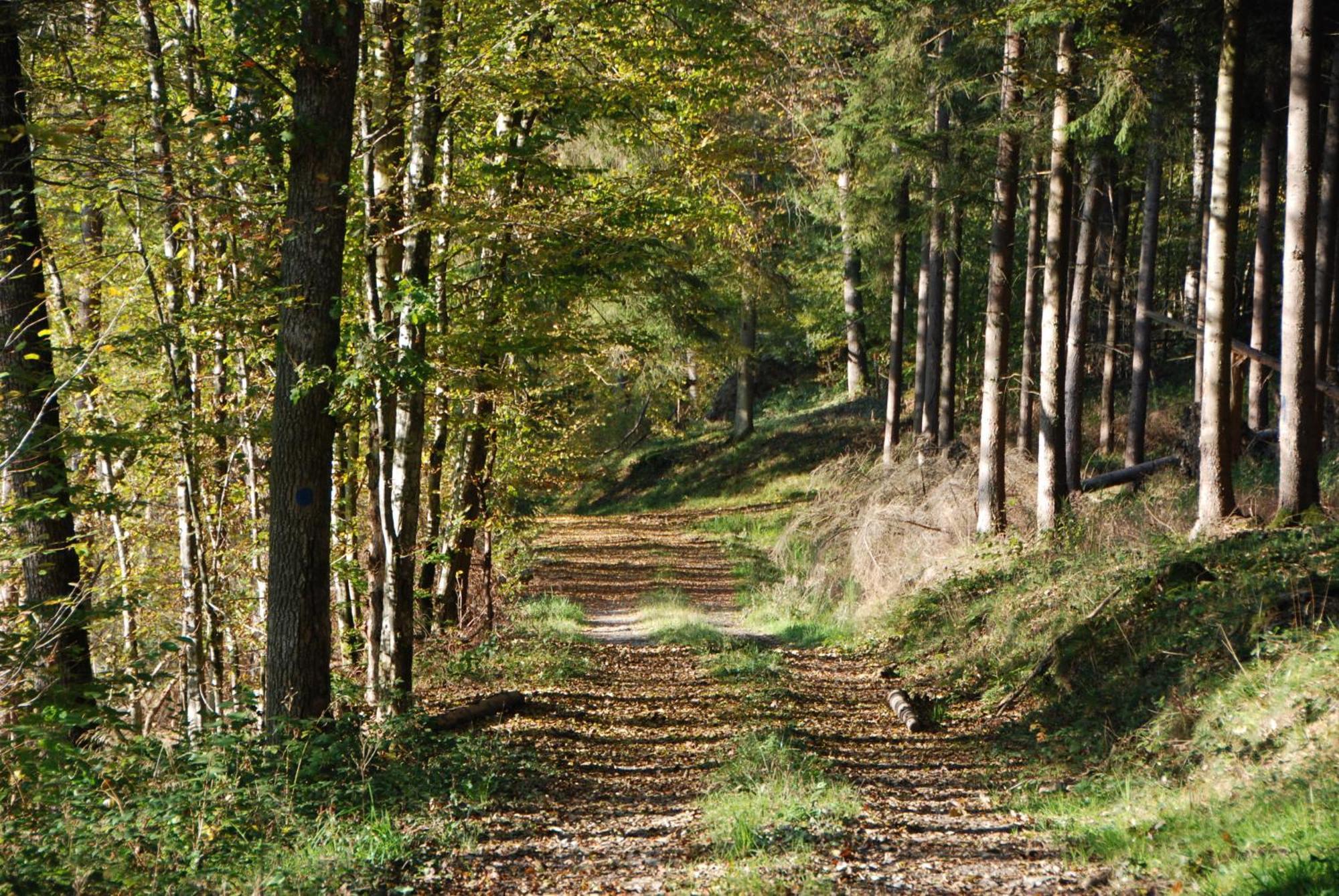 B&B Les Trois Voisins Bourseigne-Vieille Exteriör bild