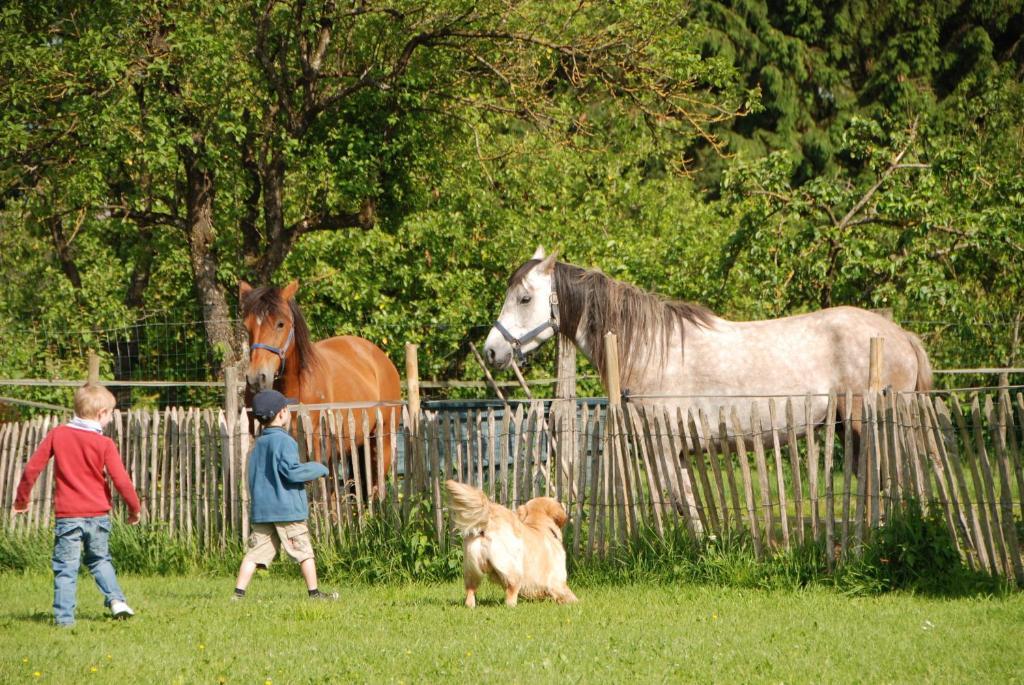 B&B Les Trois Voisins Bourseigne-Vieille Exteriör bild
